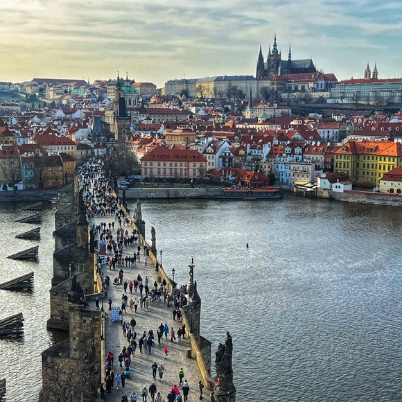 Meet your Posher, Gina - Picture 3 of 7